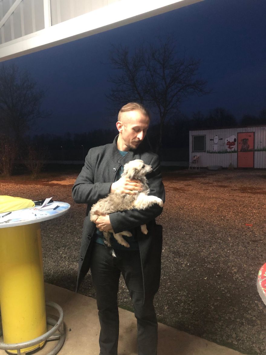 I Did A Photoshoot Of Shelter Dogs, And They All Got Adopted I Did A Photoshoot Of Shelter Dogs, And They All Got Adopted