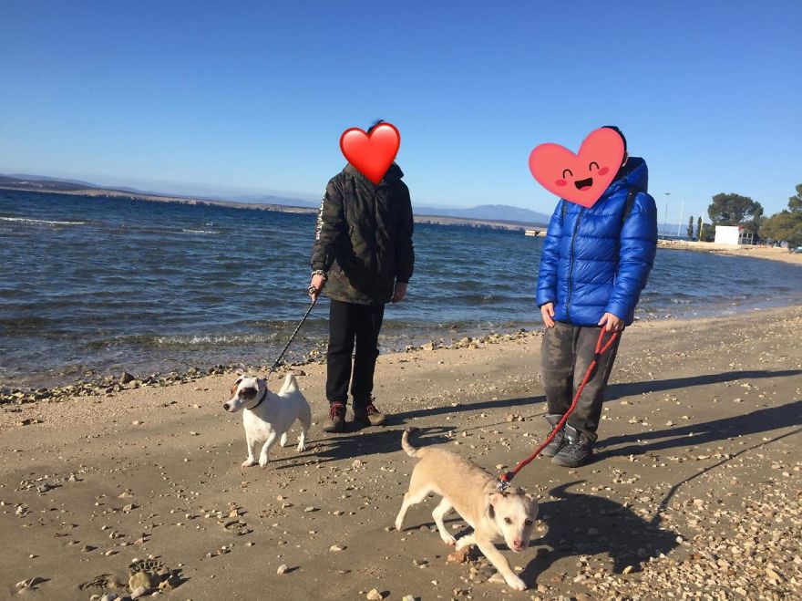 I Did A Photoshoot Of Shelter Dogs, And They All Got Adopted I Did A Photoshoot Of Shelter Dogs, And They All Got Adopted