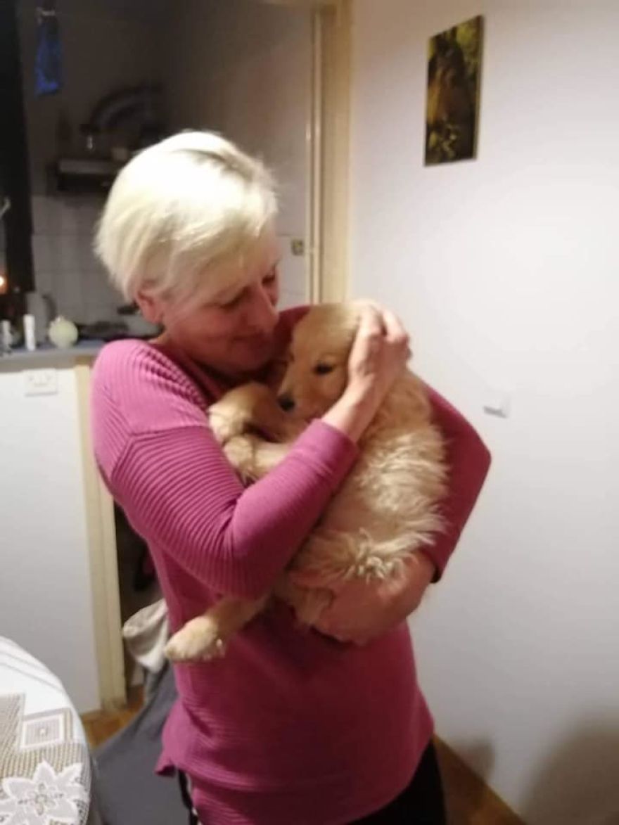 I Did A Photoshoot Of Shelter Dogs, And They All Got Adopted I Did A Photoshoot Of Shelter Dogs, And They All Got Adopted