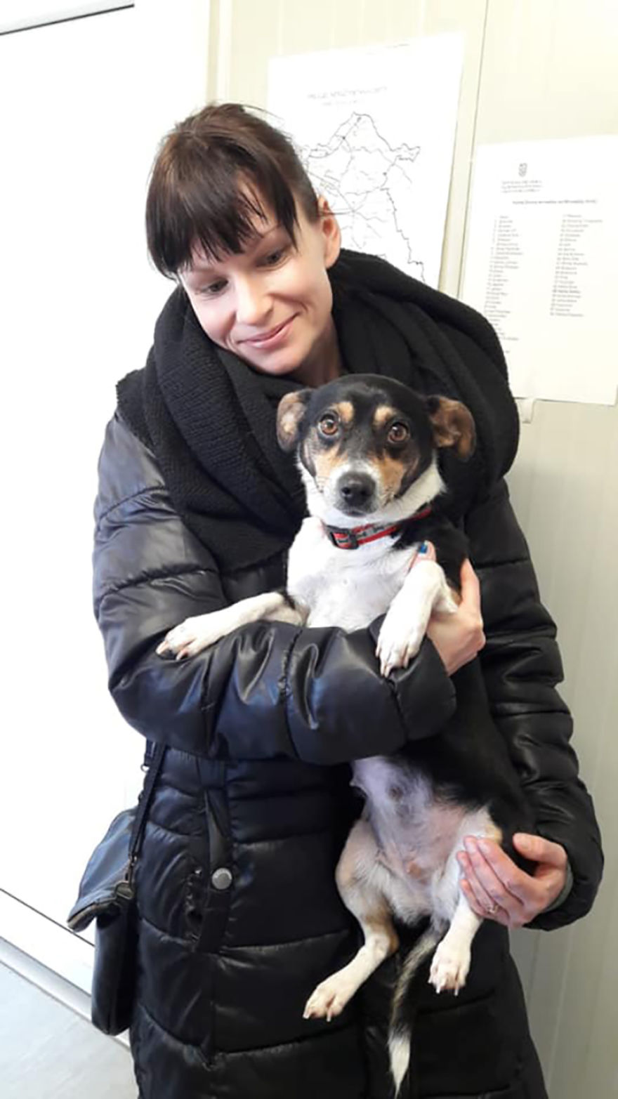 I Did A Photoshoot Of Shelter Dogs, And They All Got Adopted I Did A Photoshoot Of Shelter Dogs, And They All Got Adopted