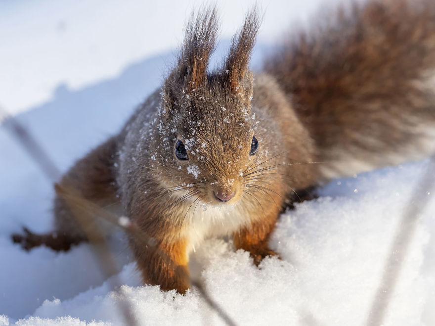 It's Not Fair. You Have Longer Legs