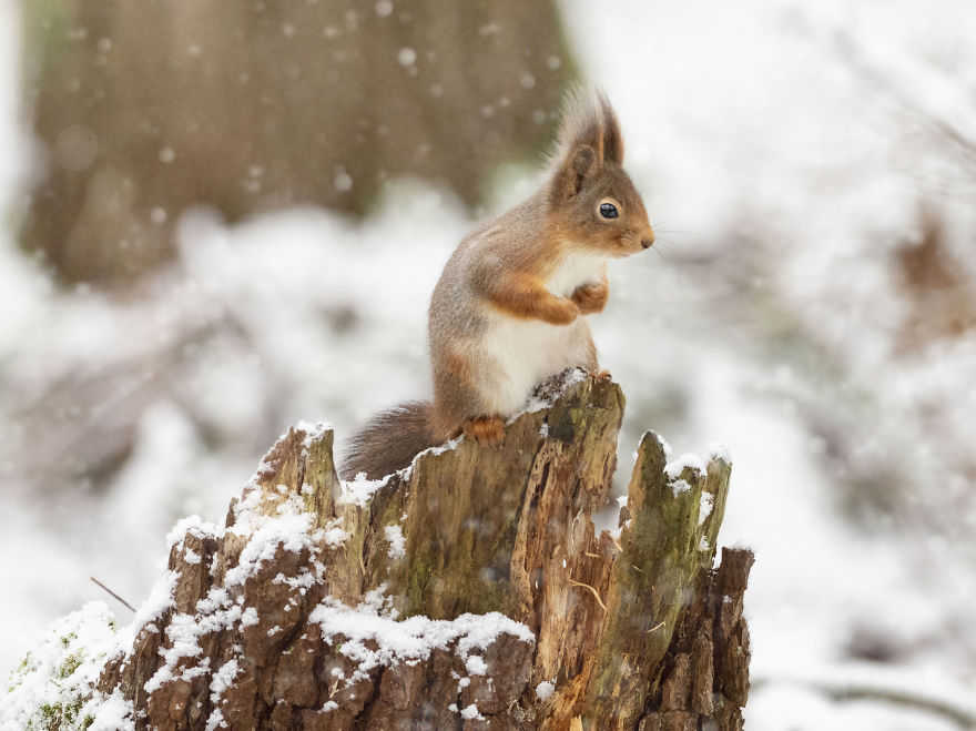 Someone To Watch Over Me