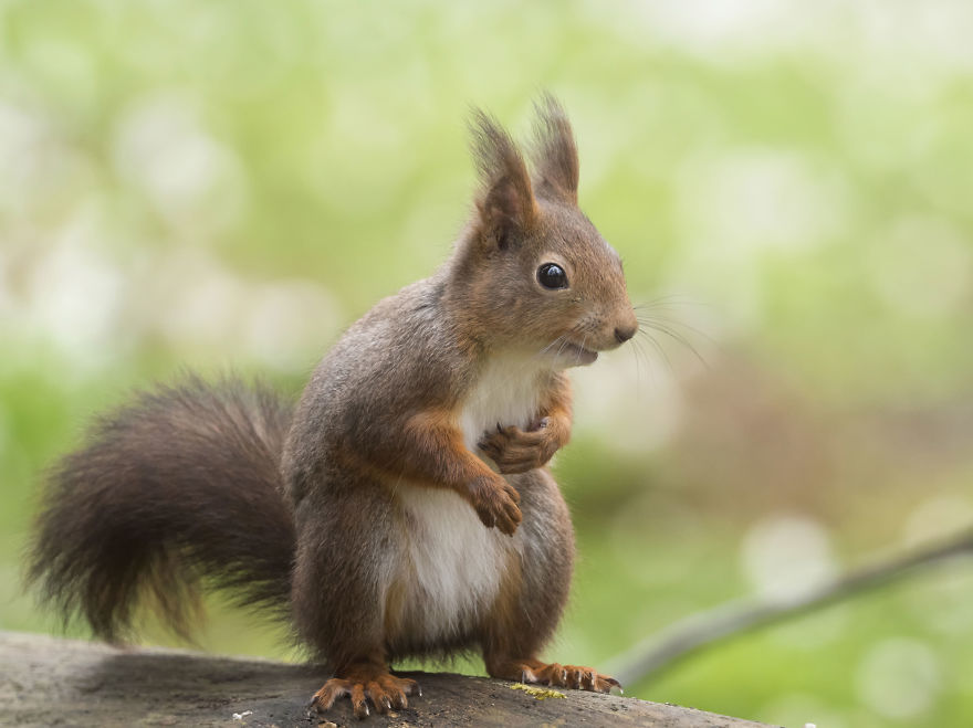 Greetings From Gothenburg