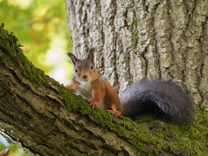 Continue To Be Amazing