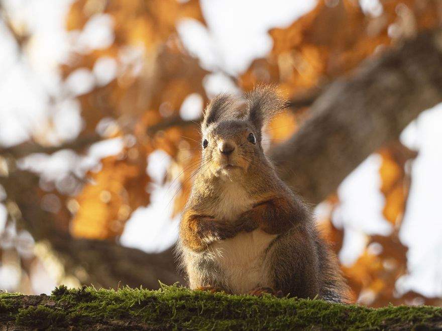 Lost The Password To His Netflix Account