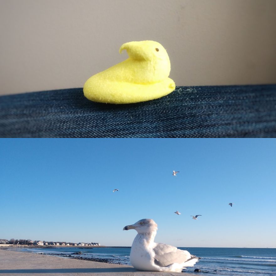 In The Last Few Weeks, Things Keep Reminding Me Of Other Things In The Last Few Weeks, Things Keep Reminding Me Of Other Things