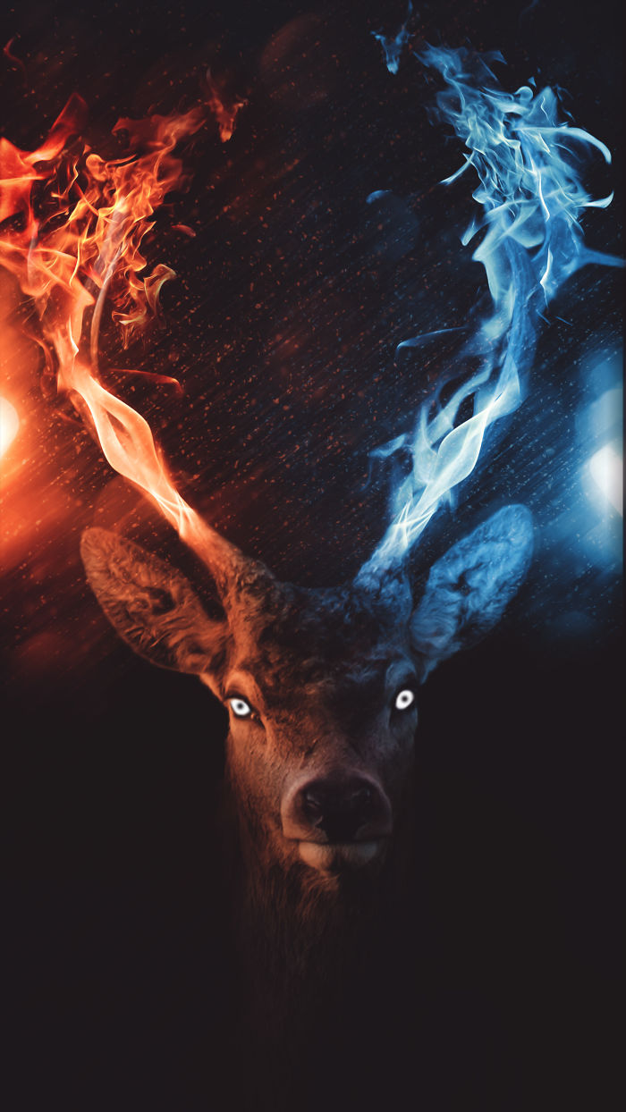 I’m A 23-Year-Old Turkish Guy Who Turns His Dreams Into Pictures