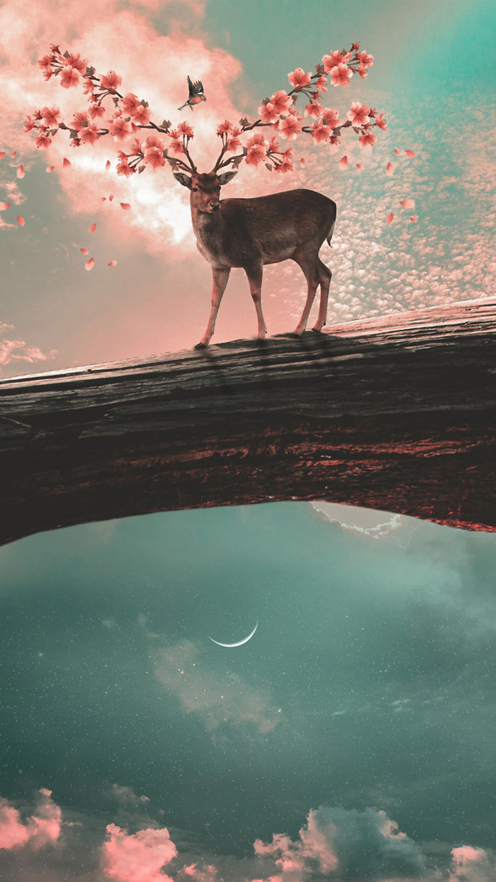 I’m A 23-Year-Old Turkish Guy Who Turns His Dreams Into Pictures