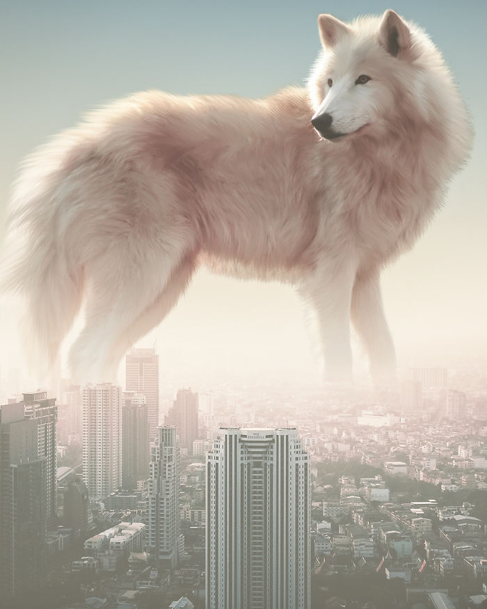 I’m A 23-Year-Old Turkish Guy Who Turns His Dreams Into Pictures