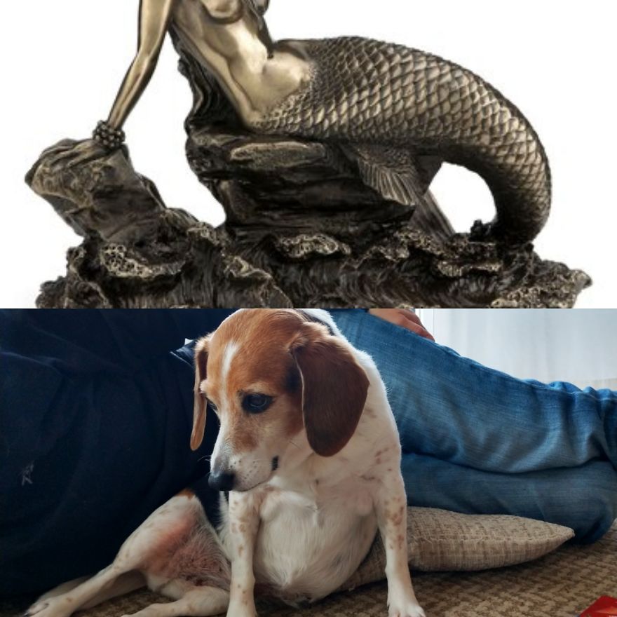 In The Last Few Weeks, Things Keep Reminding Me Of Other Things In The Last Few Weeks, Things Keep Reminding Me Of Other Things