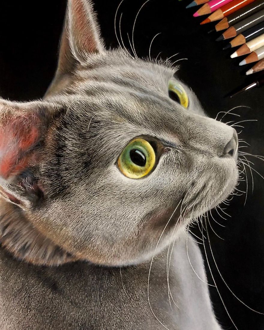 Japanese Illustrator Makes Hyper Realistic Cat Illustrations That Will Probably Take Your Breath Away