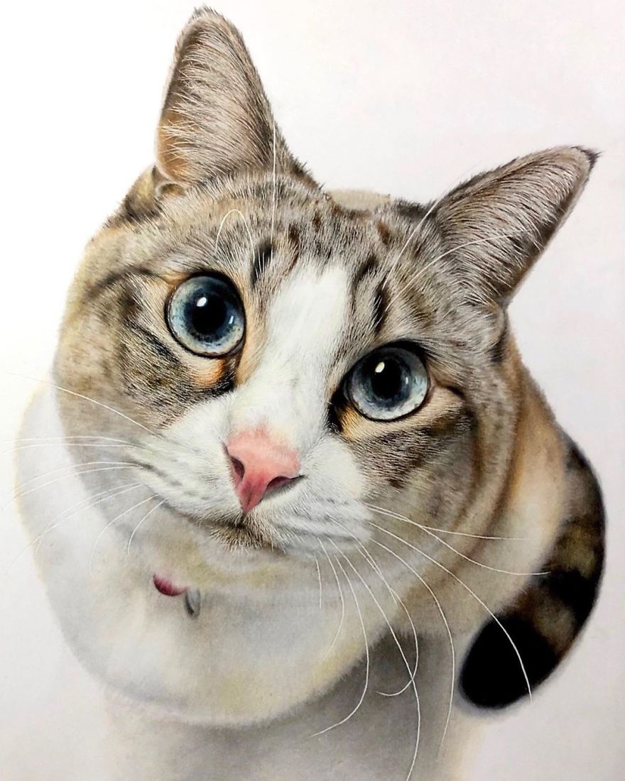 Hyper Cat Drawing 23 Hyper-Realistic Artworks Of Cats That Are Hard To Believe Aren’t ...