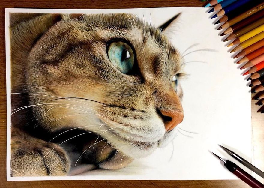 Japanese Illustrator Makes Hyper Realistic Cat Illustrations That Will Probably Take Your Breath Away