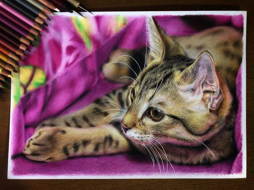 Japanese Illustrator Makes Hyper Realistic Cat Illustrations That Will Probably Take Your Breath Away