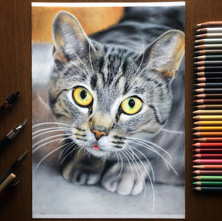 Japanese Illustrator Makes Hyper Realistic Cat Illustrations That Will Probably Take Your Breath Away