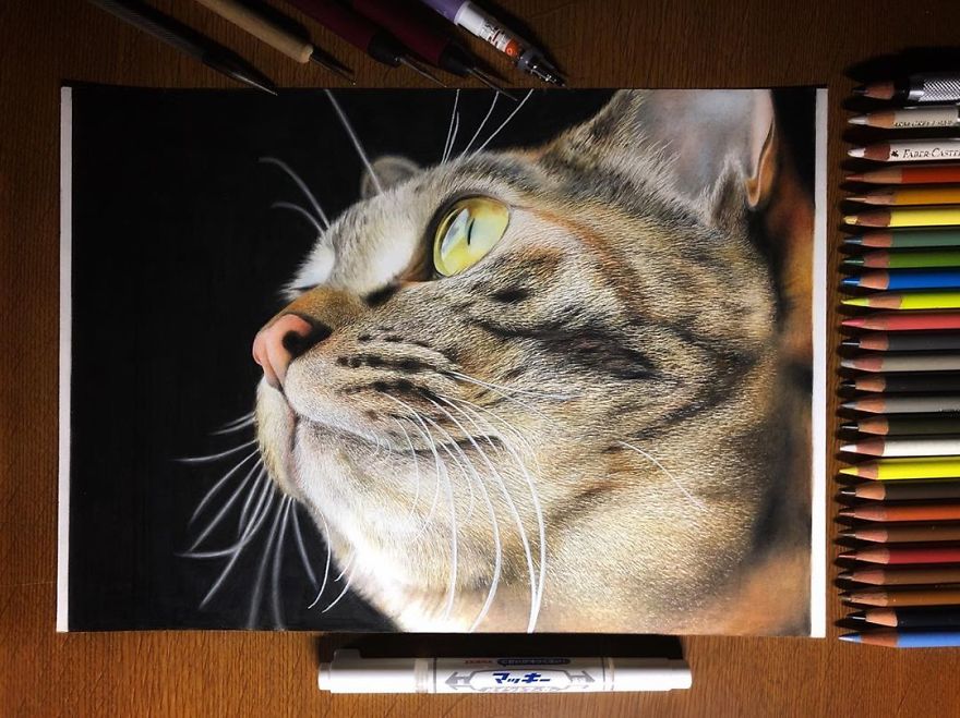 Japanese Illustrator Makes Hyper Realistic Cat Illustrations That Will Probably Take Your Breath Away