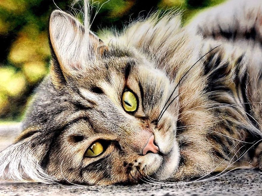 Japanese Illustrator Makes Hyper Realistic Cat Illustrations That Will Probably Take Your Breath Away