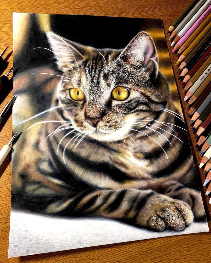 Japanese Illustrator Makes Hyper Realistic Cat Illustrations That Will Probably Take Your Breath Away