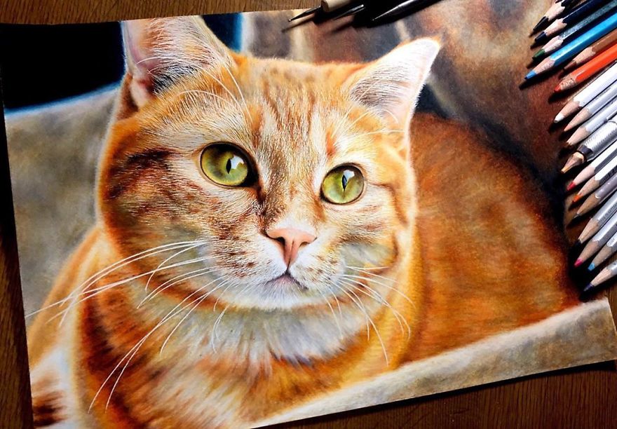 Japanese Illustrator Makes Hyper Realistic Cat Illustrations That Will Probably Take Your Breath Away