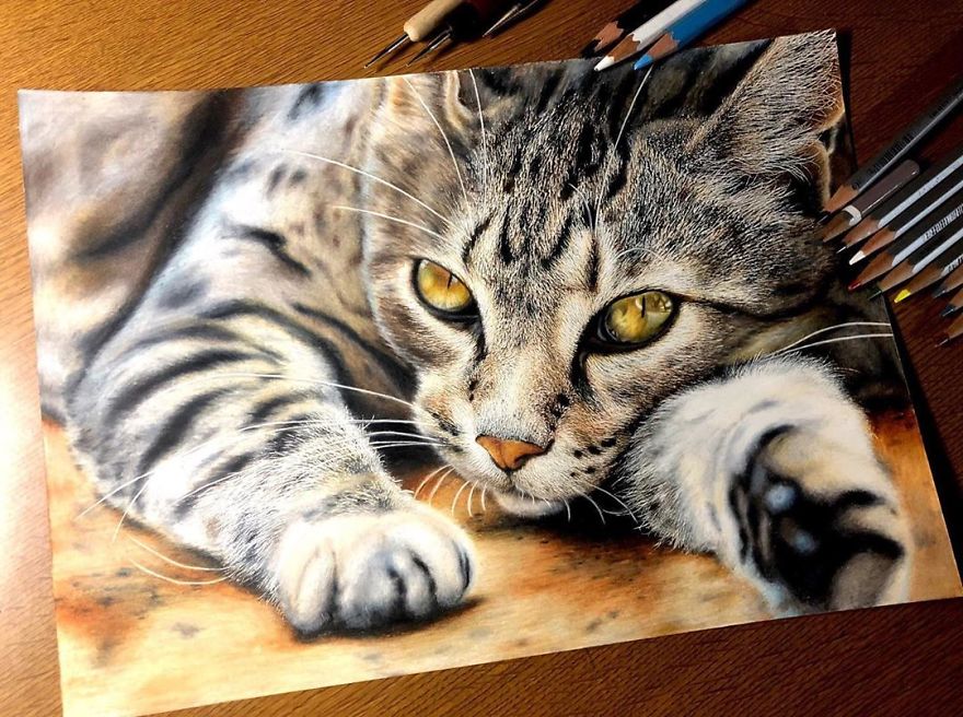 Japanese Illustrator Makes Hyper Realistic Cat Illustrations That Will Probably Take Your Breath Away