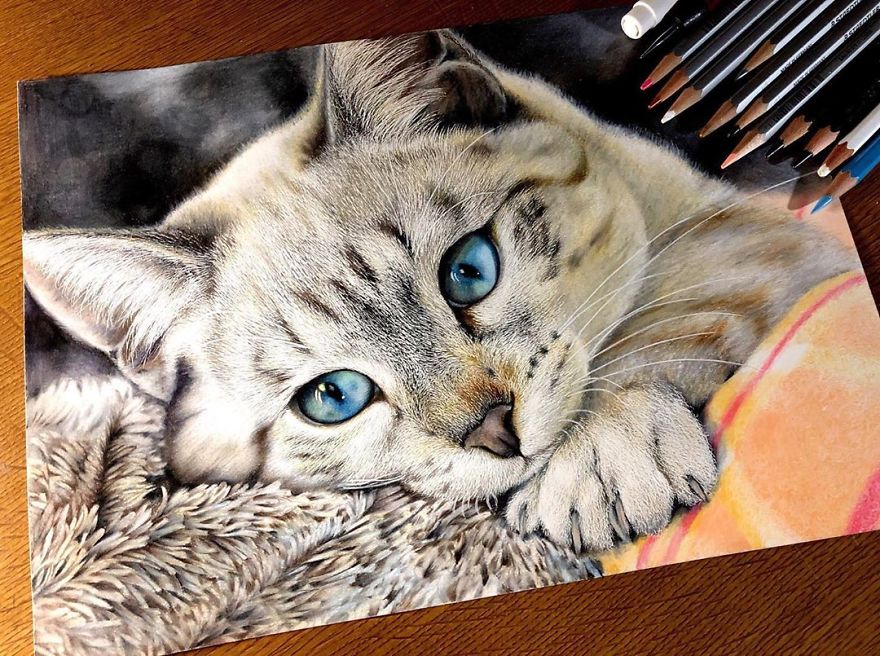 Japanese Illustrator Makes Hyper Realistic Cat Illustrations That Will Probably Take Your Breath Away