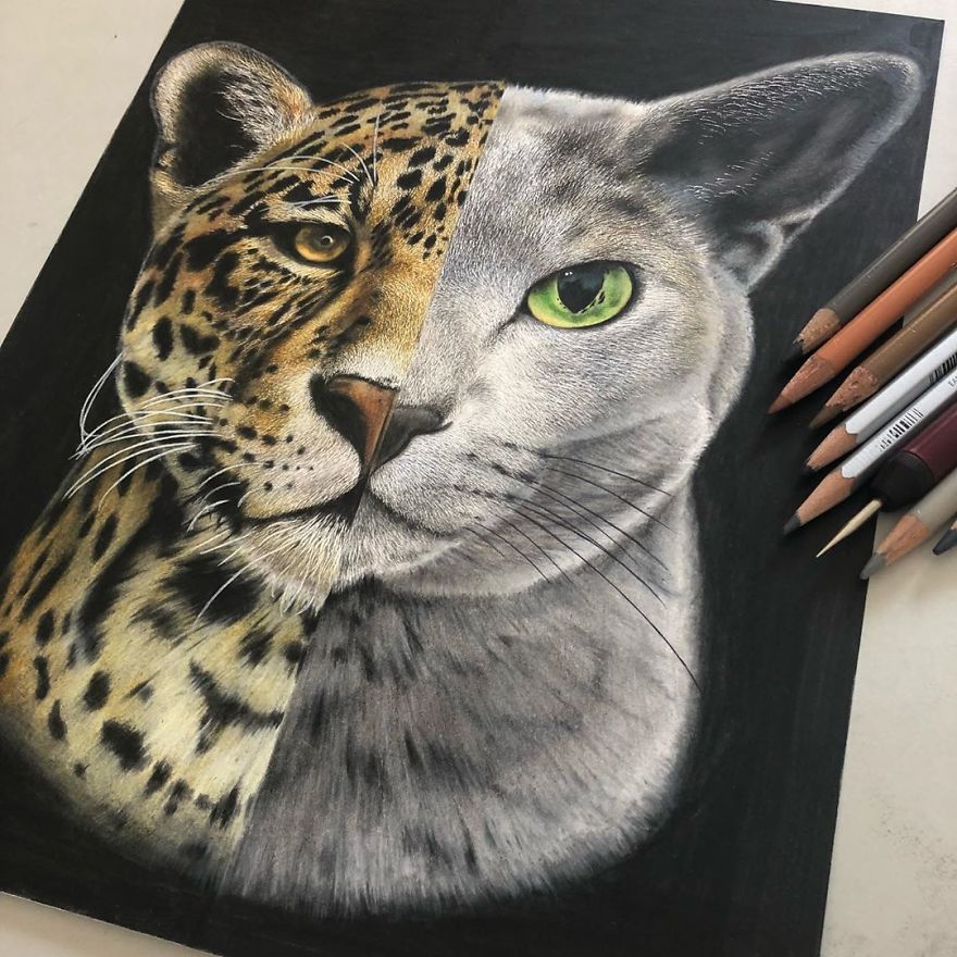 Japanese Illustrator Makes Hyper Realistic Cat Illustrations That Will Probably Take Your Breath Away
