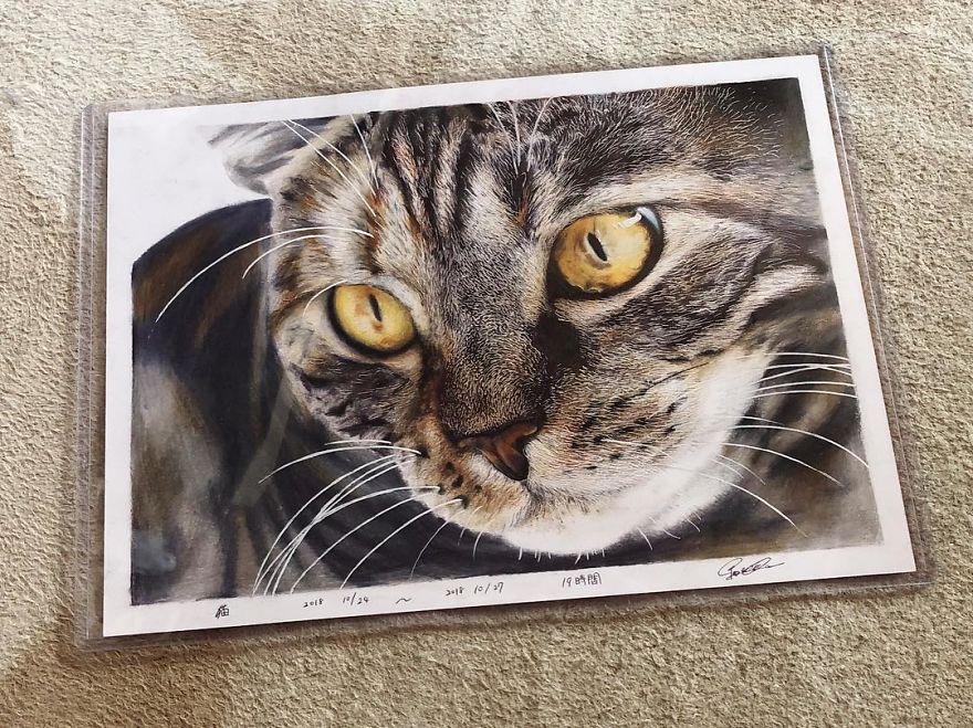 Japanese Illustrator Makes Hyper Realistic Cat Illustrations That Will Probably Take Your Breath Away