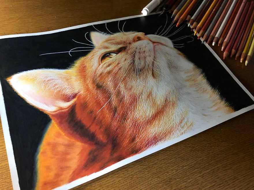 Japanese Illustrator Makes Hyper Realistic Cat Illustrations That Will Probably Take Your Breath Away