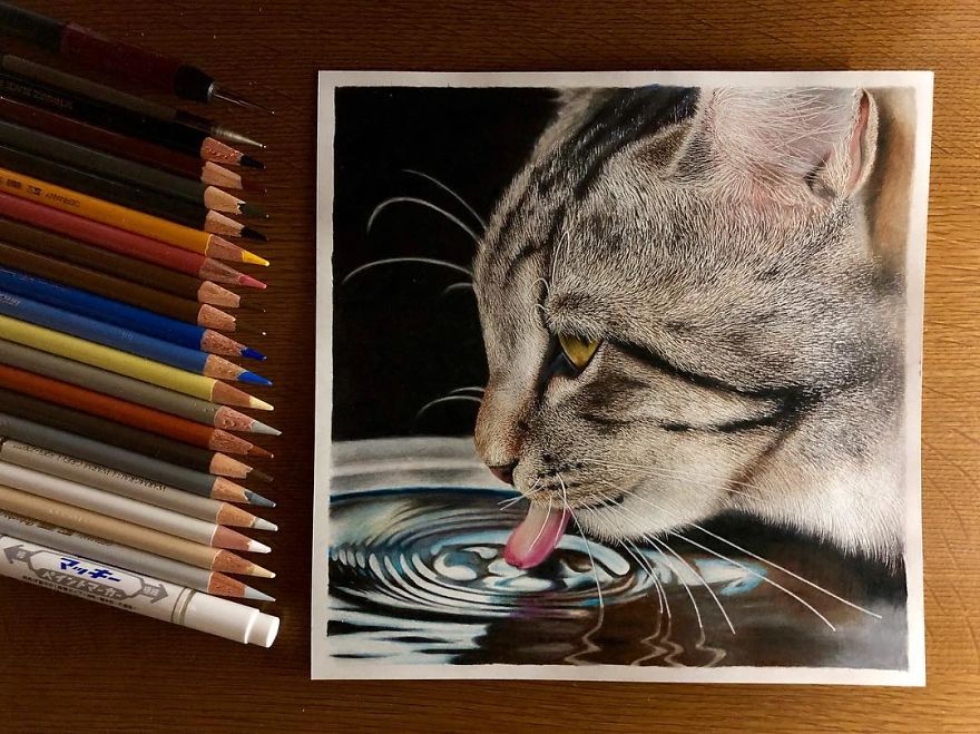 Japanese Illustrator Makes Hyper Realistic Cat Illustrations That Will Probably Take Your Breath Away