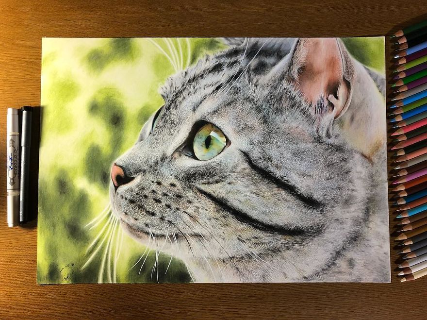 Japanese Illustrator Makes Hyper Realistic Cat Illustrations That Will Probably Take Your Breath Away