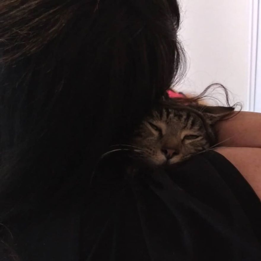 We Rescued A Kitten With A Broken Jaw And Named Him Keanu We Rescued A Kitten With A Broken Jaw And Named Him Keanu