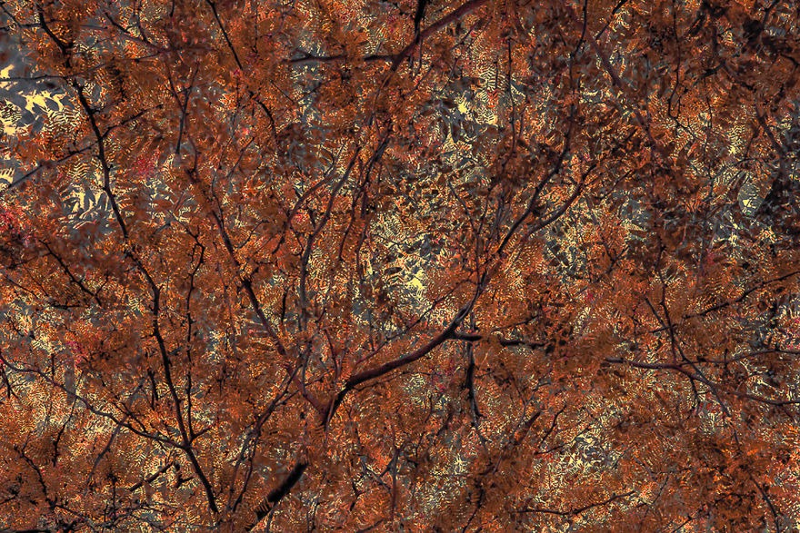 I Capture Layers Of Time In Nature I Capture Layers Of Time In Nature