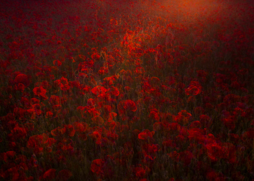 I Capture Layers Of Time In Nature