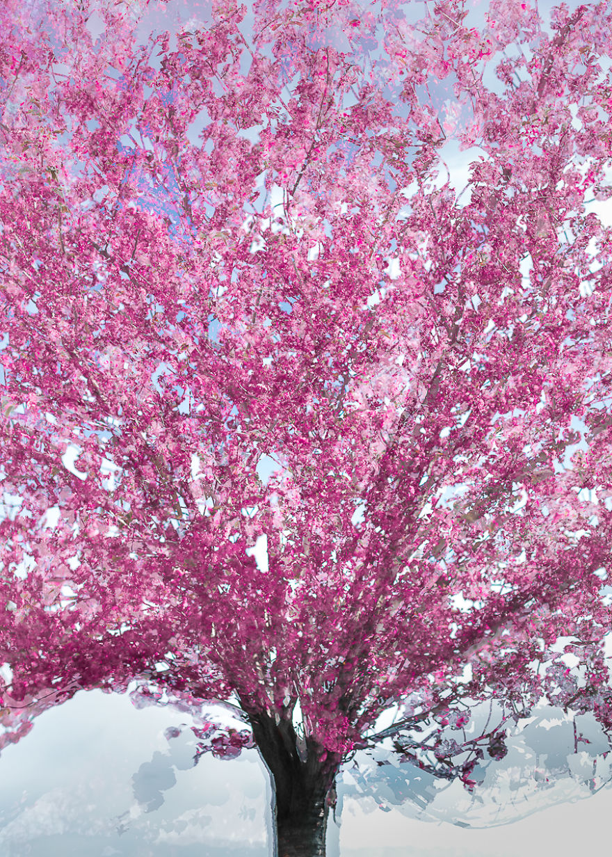 I Capture Layers Of Time In Nature