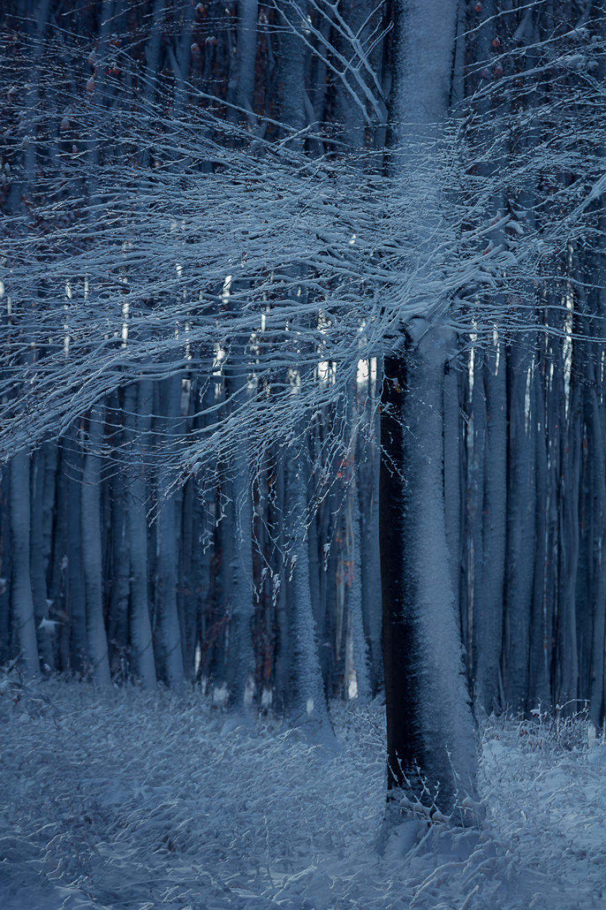 I Capture Layers Of Time In Nature