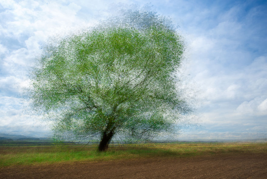 I Capture Layers Of Time In Nature