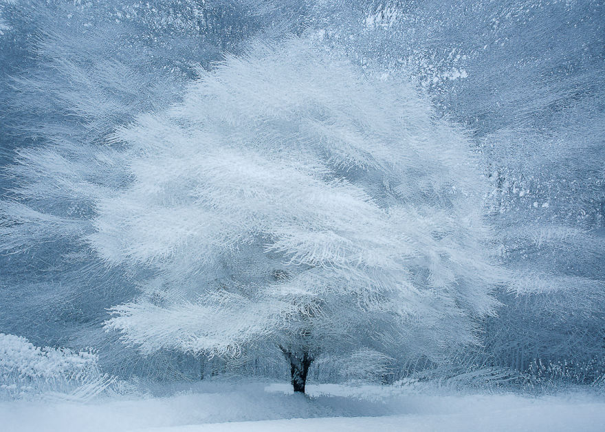 I Capture Layers Of Time In Nature