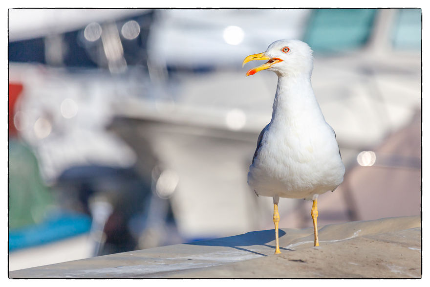 I Drove 4 Days Through 5 Countries To Capture These Postcards: