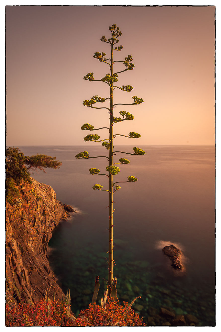 I Drove 4 Days Through 5 Countries To Capture These Postcards: