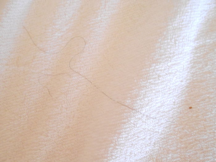 The trifecta: a pube, hair and blood