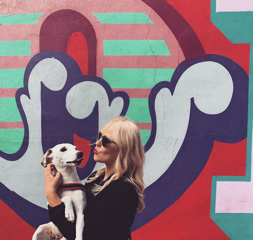 My Minimalist Dog Series