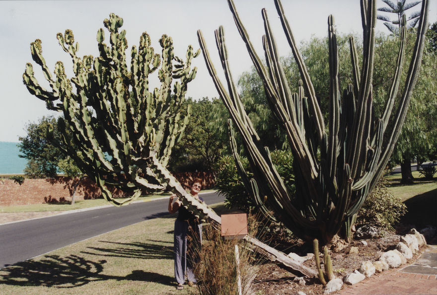 My Emotional Photographic Exploration Of The Loss Of My Grandparents' Home.