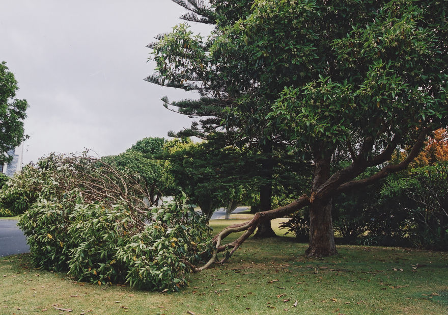 My Emotional Photographic Exploration Of The Loss Of My Grandparents' Home.