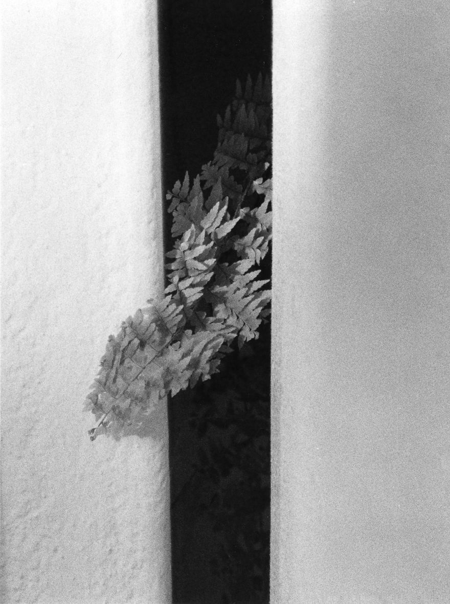 My Emotional Photographic Exploration Of The Loss Of My Grandparents' Home.