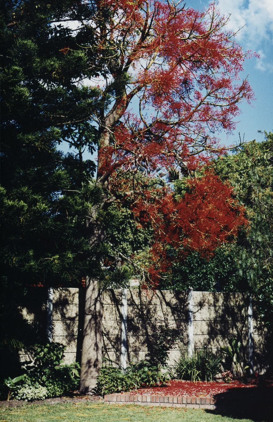 My Emotional Photographic Exploration Of The Loss Of My Grandparents' Home.