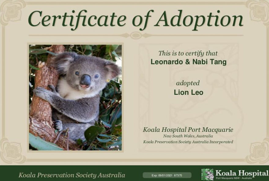 My Son And I Spent At Least 5 Years Growing Our Hair Out And Now We Decided To Donate For Children With Cancer And Raise Money To Save Koalas My Son And I Spent At Least 5 Years Growing Our Hair Out And Now We Decided To Donate For Children With Cancer And Raise Money To Save Koalas