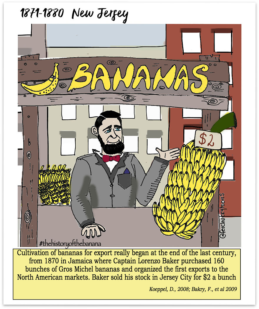 The Fascinating History Of The Banana The Fascinating History Of The Banana