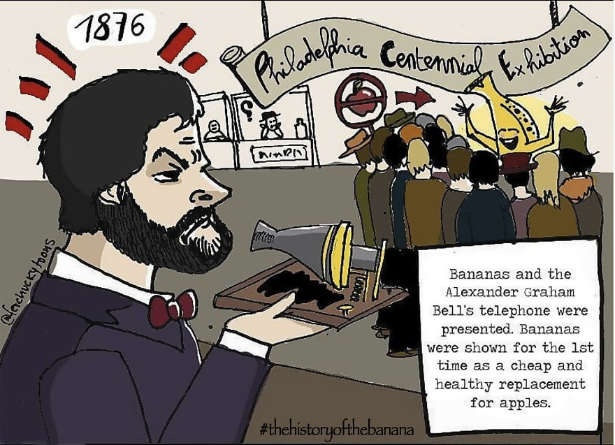 The Fascinating History Of The Banana The Fascinating History Of The Banana