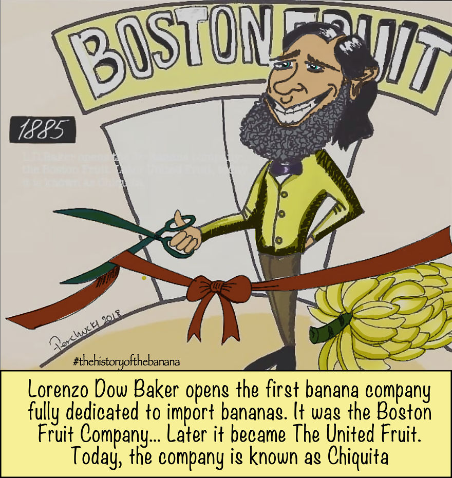 The Fascinating History Of The Banana The Fascinating History Of The Banana