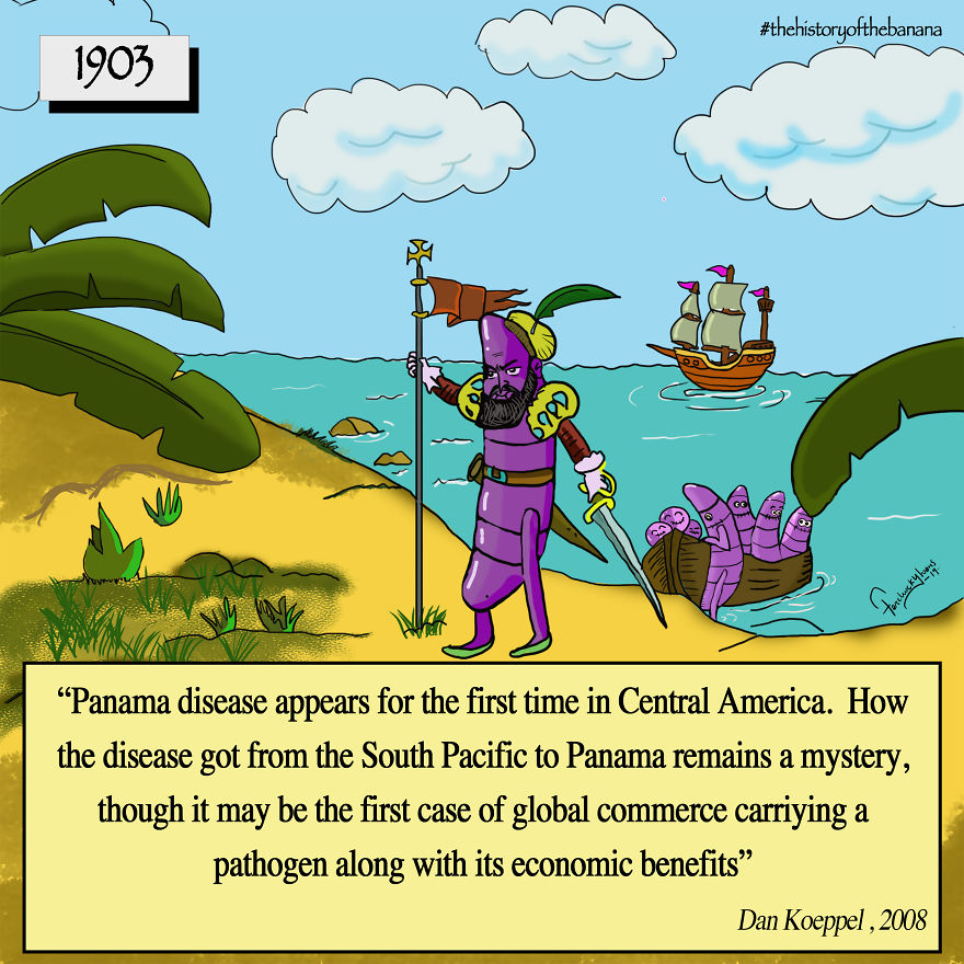 The Fascinating History Of The Banana